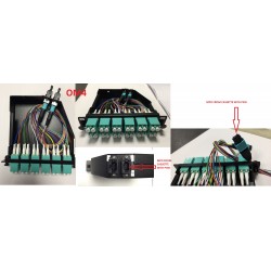 CASSETTE 2xMPO to 24XLC OM4