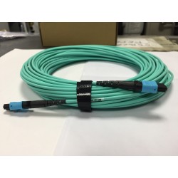 JUMPER MPO OM4 12 FIBRAS H-H 15M Type B
