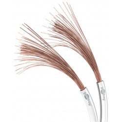 CABLE PARALELO PLASTICO BLANCO 2X4
