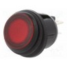 INTERRUPTOR PULSADOR LED ROJO IP65 12V