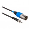 CABLE MINIJACK ST M ROSCAR-XLR3 M 0,6Mts