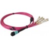 JUMPER MPO OM4 12 FIBRAS H-8xLC 20MTS