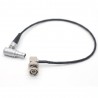 CABLE Timecode-In Cable LEMO 5P M-BNC M