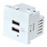 MODULO 45X45 2xUSB CARGADORES 5V