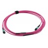 JUMPER MPO OM4 12 FIBRAS H-H 7M Type B