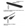 REGLETA 19" 12xC13 + LED+ PROTECSOBRECAR