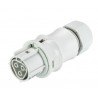 CONECTOR WIELAND 3 PINES H +CARCASA BLAN