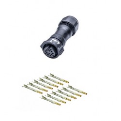 CONECTOR X-LOK 12P HEMBRA...
