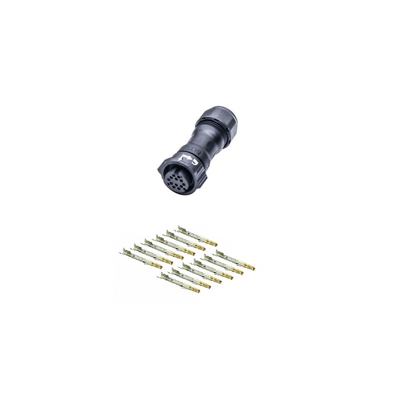 CONECTOR X-LOK 12P HEMBRA AMPHENOL LTW