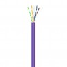 CABLE UTP CAT6 RIGIDO VIOLETA LSZH