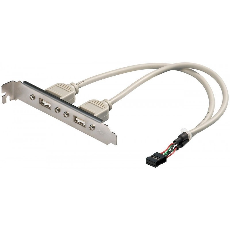 CABLE 2xUSB H a 1xMolex 8 pin H 25cm + S