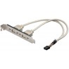 CABLE 2xUSB H a 1xMolex 8 pin H 25cm + S