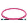 JUMPER MPO OM4 12 FIBRAS H-H 2M Type B