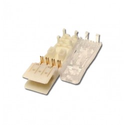 CONECTOR 110 IDC 2 PAR XC