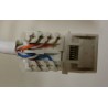 CONECTOR RJ45 HEMBRA UTP CAT6 SYSTIMAX