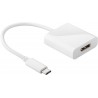 ADAPTADOR USB C M-DISPLAYPORT H 15cmHD