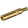 CONECTOR JACK H 6,35mm AEREO ESTEREO ORO