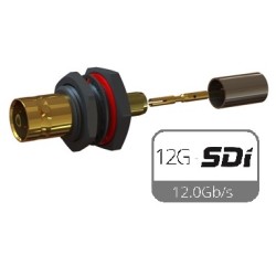 CONECTOR BNC HEMBRA 0.8/3.7 12G PANEL CR