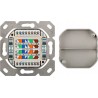MARCO ROSETA SUPERFICIE+2xRJ45 FTP CAT6