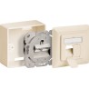 ROSETA SUPERFICIE 2xRJ45 SFTP CAT6A BEIG