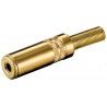 CONECTOR MINIJACK H 3,5mm ST DORADO