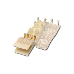 CONECTOR 110 IDC 2 PAR XC