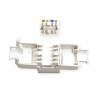 CONECTOR RJ45 HEMBRA UTP CAT6A CON G/POL