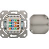 ROSETA SUPERFICIE 2xRJ45 SFTP CAT6A BEIG
