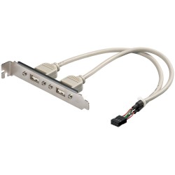 CABLE 2xUSB H a 1xMolex 8 pin H 25cm + S