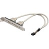 CABLE 2xUSB H a 1xMolex 8 pin H 25cm + S