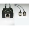 BALUN 2xBNC MACHO-RJ45 H CON CABLE 15cm