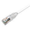 CABLE UTP CAT6 RJ45 M-M 2M COMMSCOPE BLA