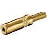 CONECTOR MINIJACK H 3,5mm ST DORADO