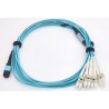 JUMPER MPO OM4 12 FIBRAS H-8xLC 25MTS