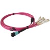 JUMPER MPO OM4 12 FIBRAS H-8xLC 20MTS