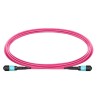 JUMPER MPO OM4 12 FIBRAS H-H 2M Type B