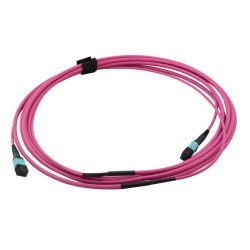 JUMPER MPO OM4 12 FIBRAS H-H 5M Type A