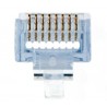 CONECTOR EZ-RJ45 MACHO UTP CAT6