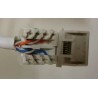 CONECTOR RJ45 HEMBRA UTP CAT6 SYSTIMAX