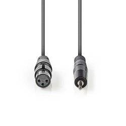 CABLE MINIJACK ST M-XLR3 H...