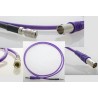 CABLE 1.0/2.3 M-BNC H 0.6/2.8 20cm VIOLE