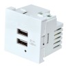 MODULO 45X45 2xUSB CARGADORES 5V