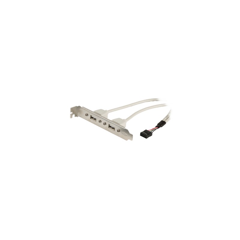 CABLE 2xUSB H a 1xMolex 10pin H 50cm + S