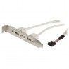 CABLE 2xUSB H a 1xMolex 10pin H 50cm + S