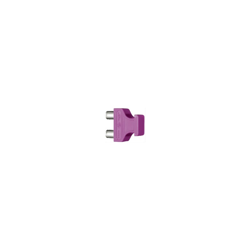PUENTE VIDEO S/T VIOLETA CFF.1S.275.PTCP