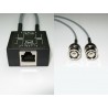 BALUN 2xBNC MACHO-RJ45 H CON CABLE 15cm