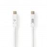 CABLE USB C M-M 2M BLANCO V3.2 100W