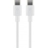 CABLE USB C M-M 2M BLANCO 3A 15W