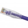 CONECTOR EZ-RJ45 MACHO UTP CAT5E/6 EXCEL
